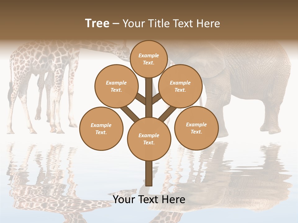 Ecosse - Sky PowerPoint Template