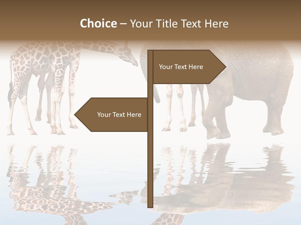 Ecosse - Sky PowerPoint Template
