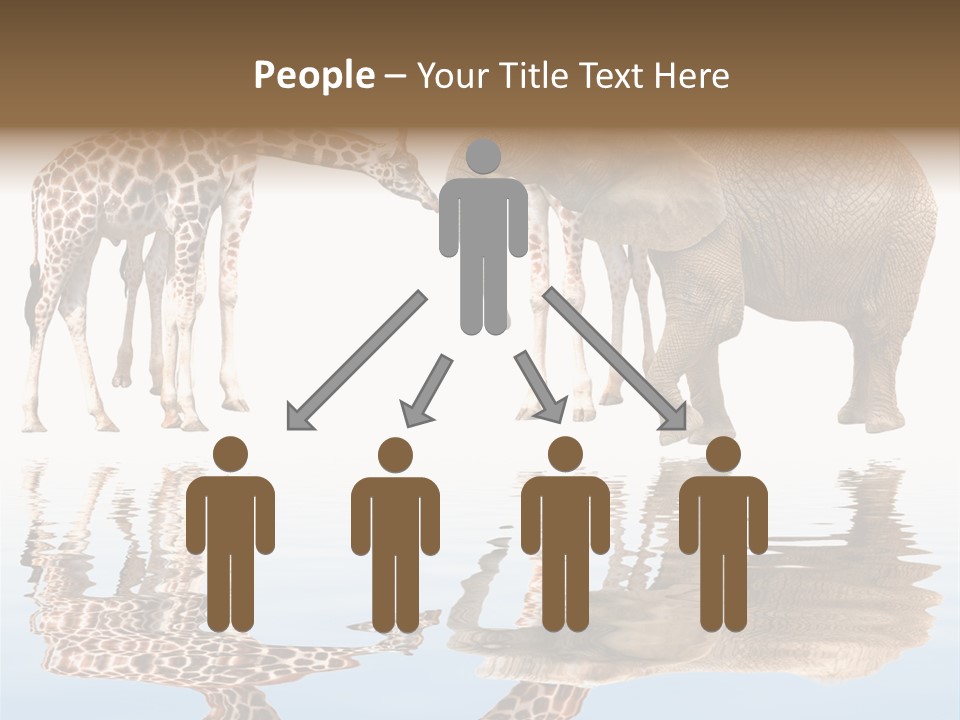 Ecosse - Sky PowerPoint Template