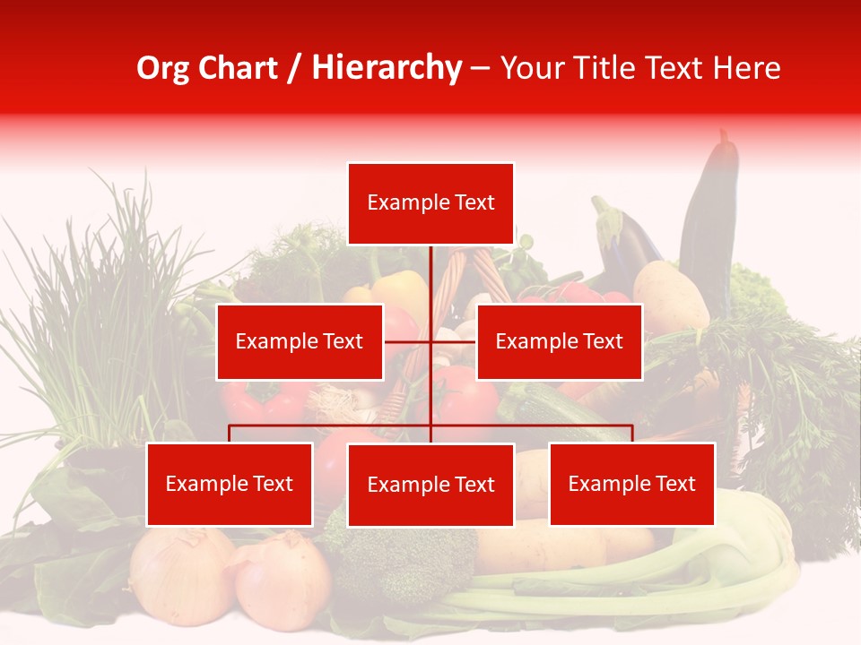 Zucchini Garten Fenchel PowerPoint Template