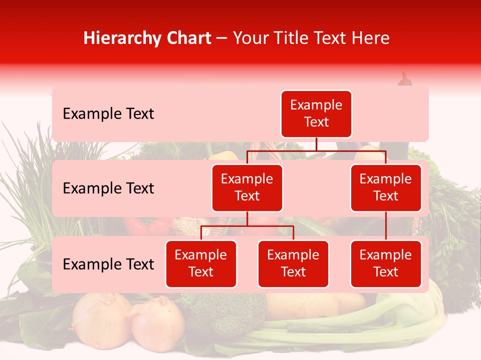 Zucchini Garten Fenchel PowerPoint Template