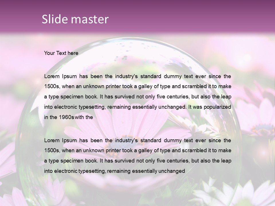 Sommer Traum Polarstern PowerPoint Template