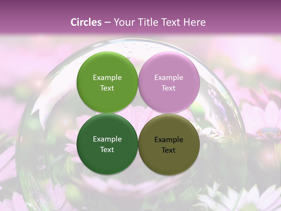 Sommer Traum Polarstern PowerPoint Template