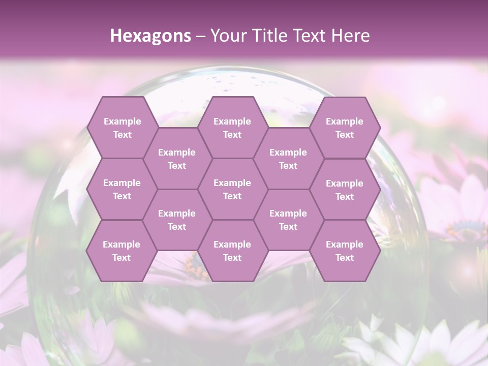 Sommer Traum Polarstern PowerPoint Template