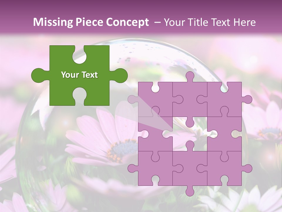 Sommer Traum Polarstern PowerPoint Template