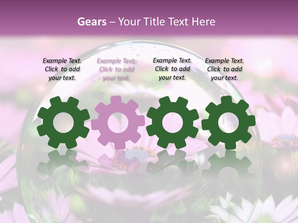 Sommer Traum Polarstern PowerPoint Template