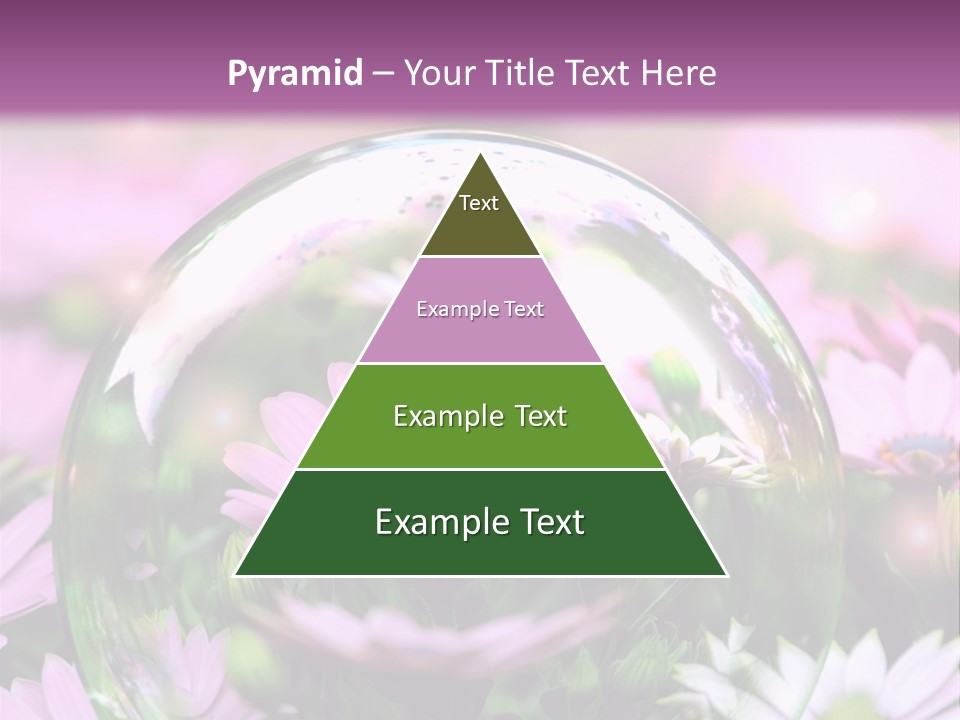 Sommer Traum Polarstern PowerPoint Template