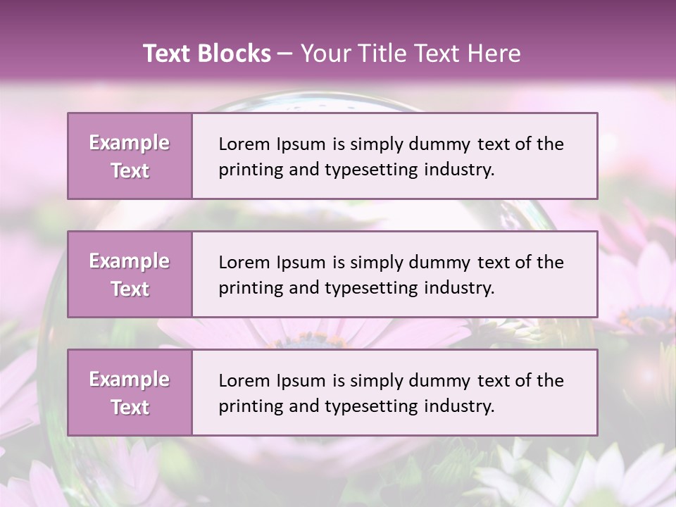 Sommer Traum Polarstern PowerPoint Template