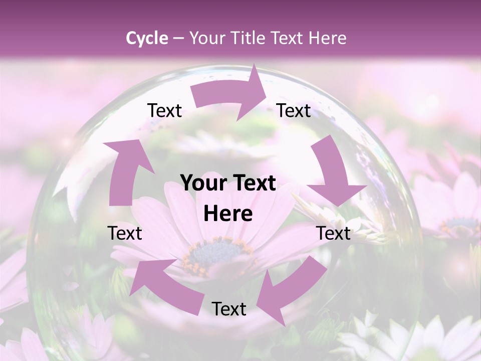 Sommer Traum Polarstern PowerPoint Template