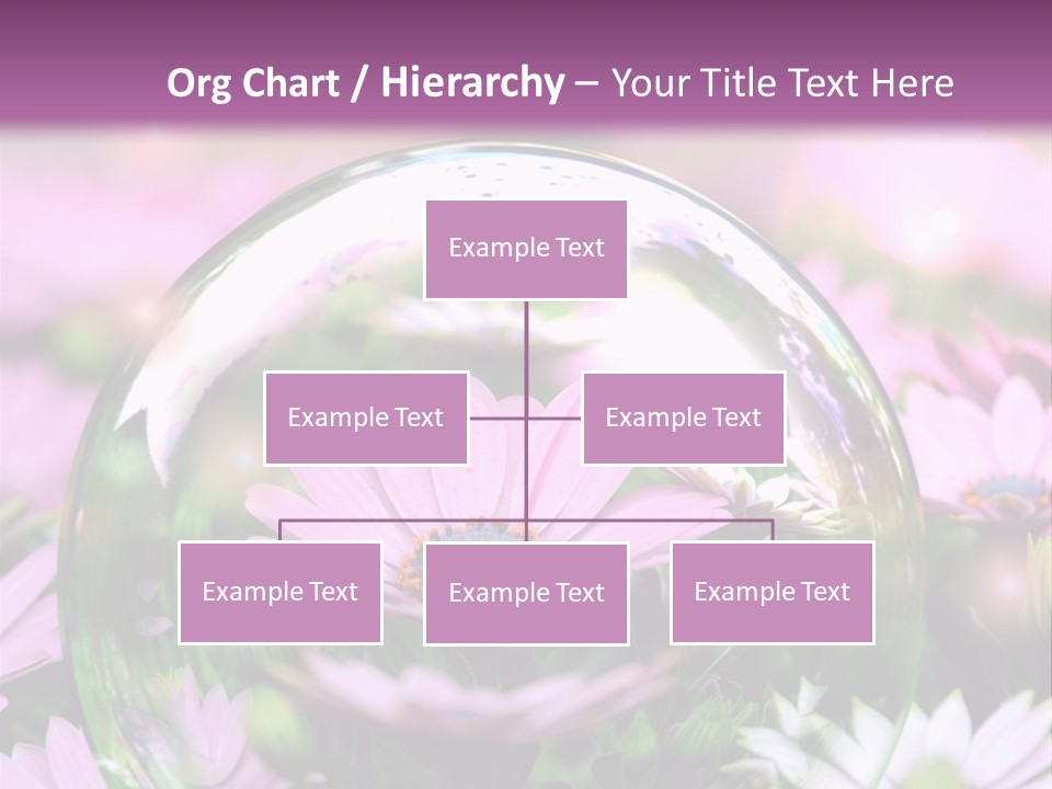 Sommer Traum Polarstern PowerPoint Template