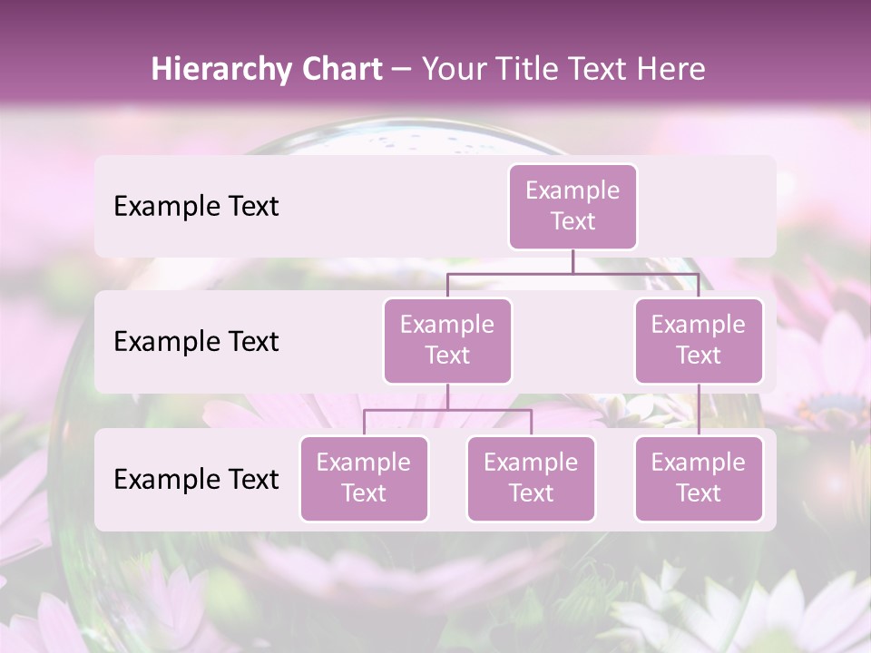 Sommer Traum Polarstern PowerPoint Template