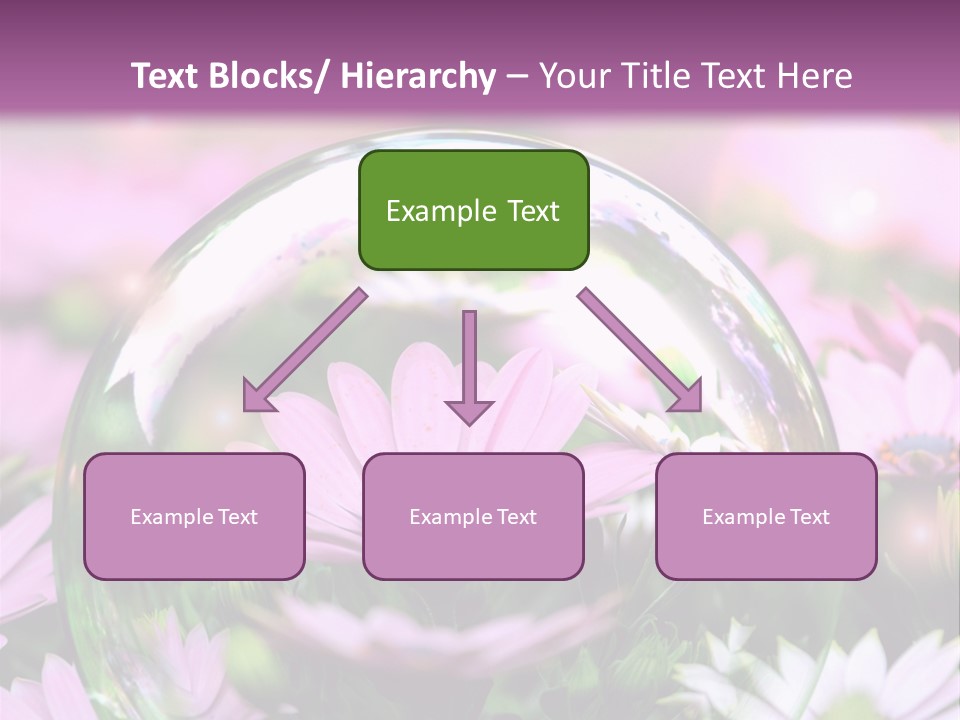 Sommer Traum Polarstern PowerPoint Template