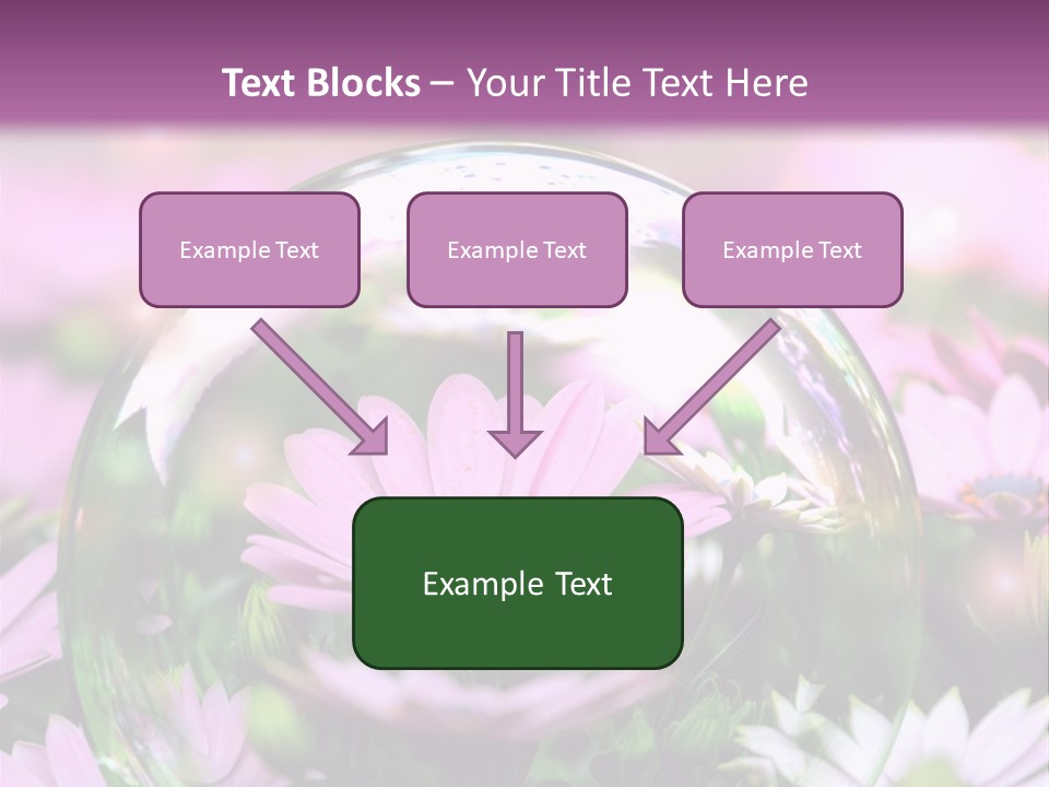 Sommer Traum Polarstern PowerPoint Template