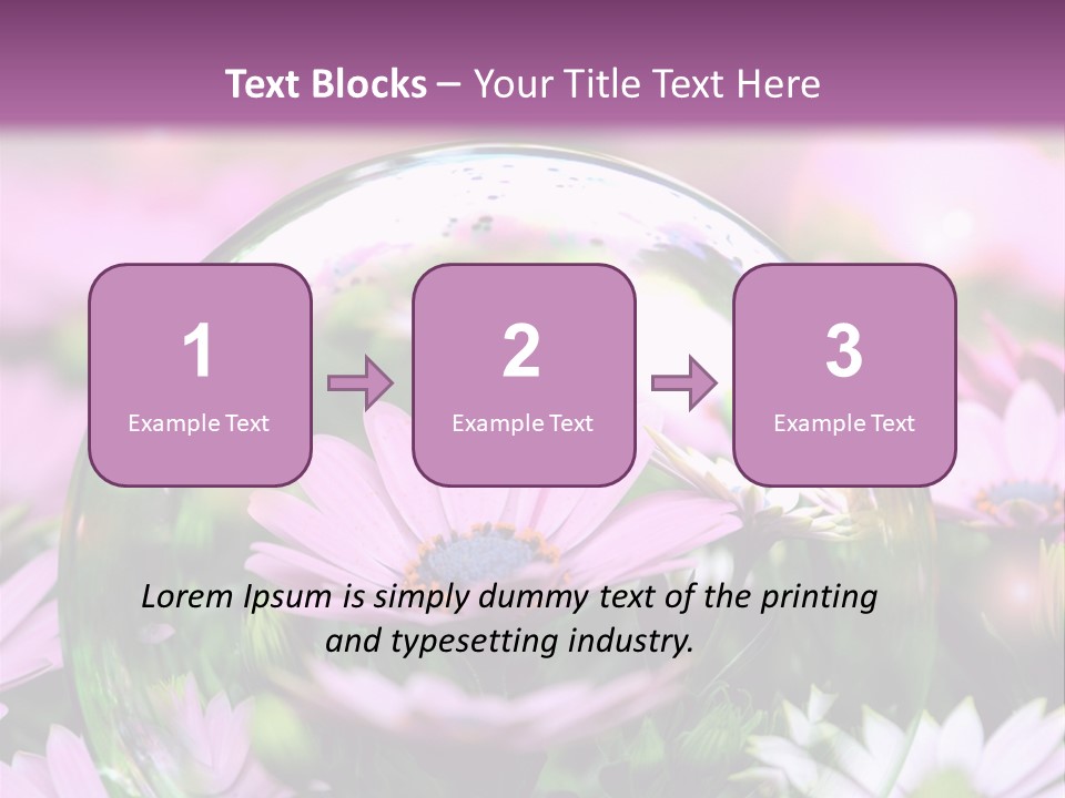 Sommer Traum Polarstern PowerPoint Template