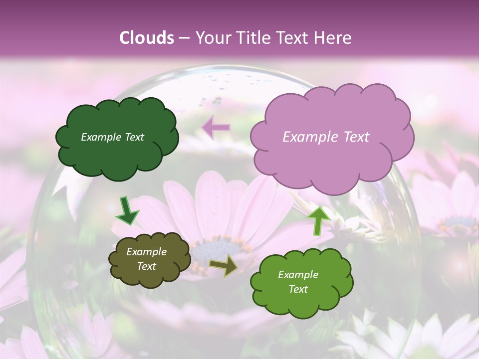 Sommer Traum Polarstern PowerPoint Template