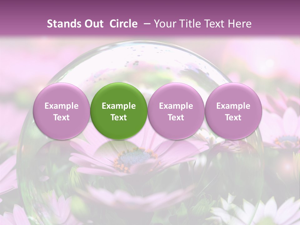 Sommer Traum Polarstern PowerPoint Template