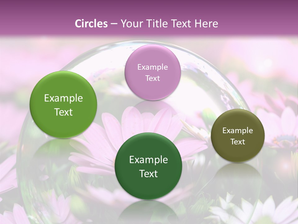 Sommer Traum Polarstern PowerPoint Template