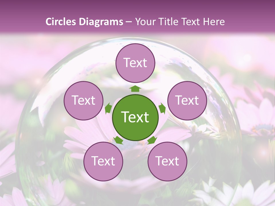 Sommer Traum Polarstern PowerPoint Template