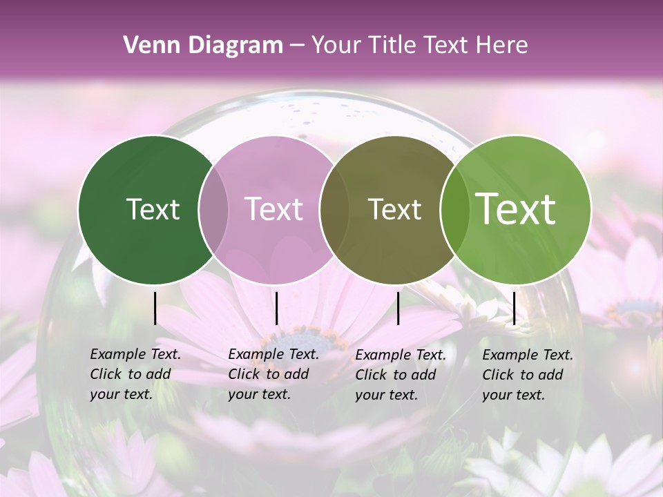Sommer Traum Polarstern PowerPoint Template