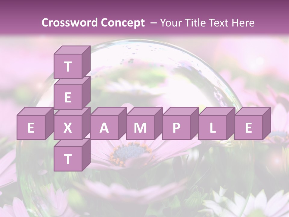 Sommer Traum Polarstern PowerPoint Template