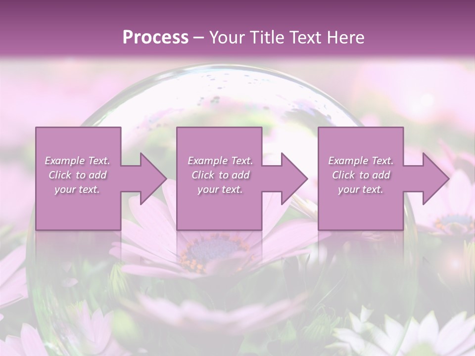 Sommer Traum Polarstern PowerPoint Template