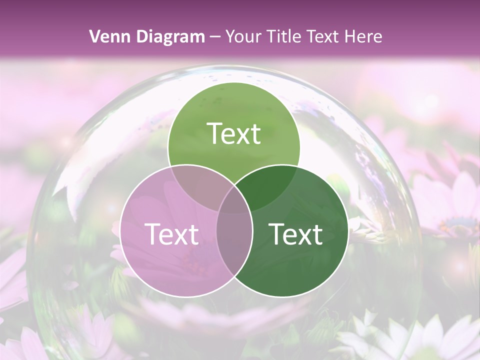 Sommer Traum Polarstern PowerPoint Template