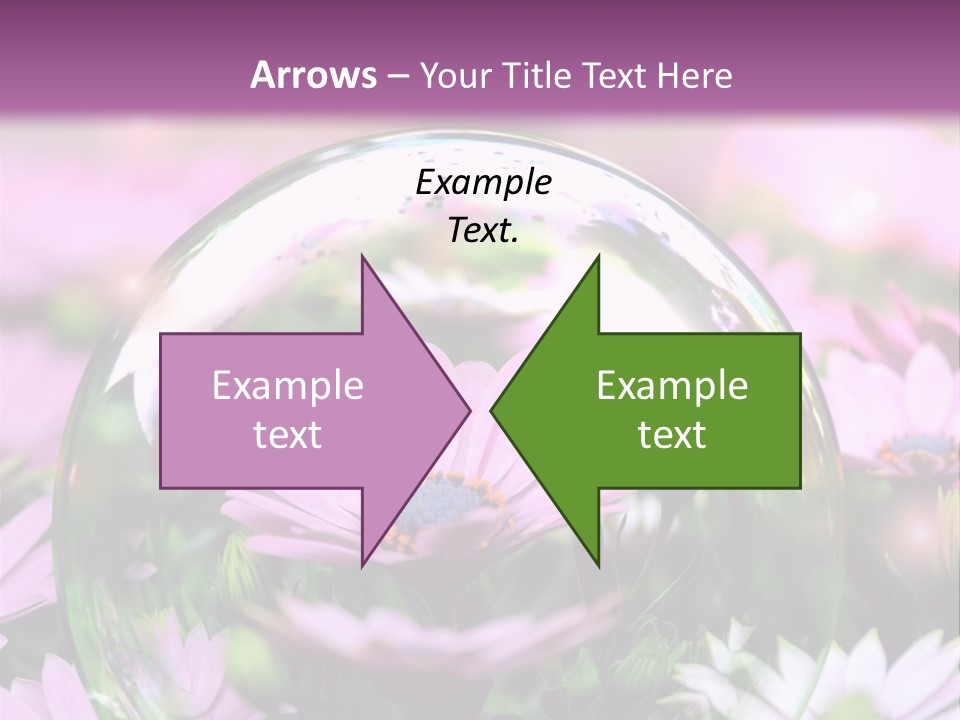 Sommer Traum Polarstern PowerPoint Template