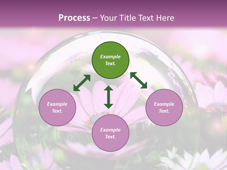 Sommer Traum Polarstern PowerPoint Template