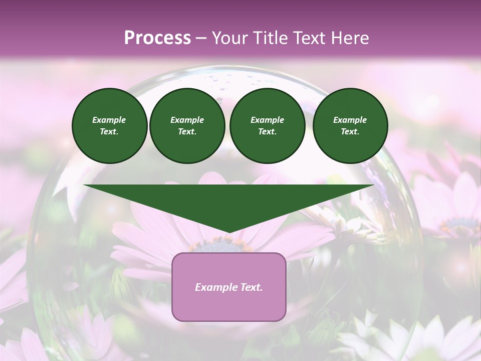 Sommer Traum Polarstern PowerPoint Template