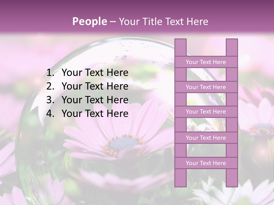 Sommer Traum Polarstern PowerPoint Template