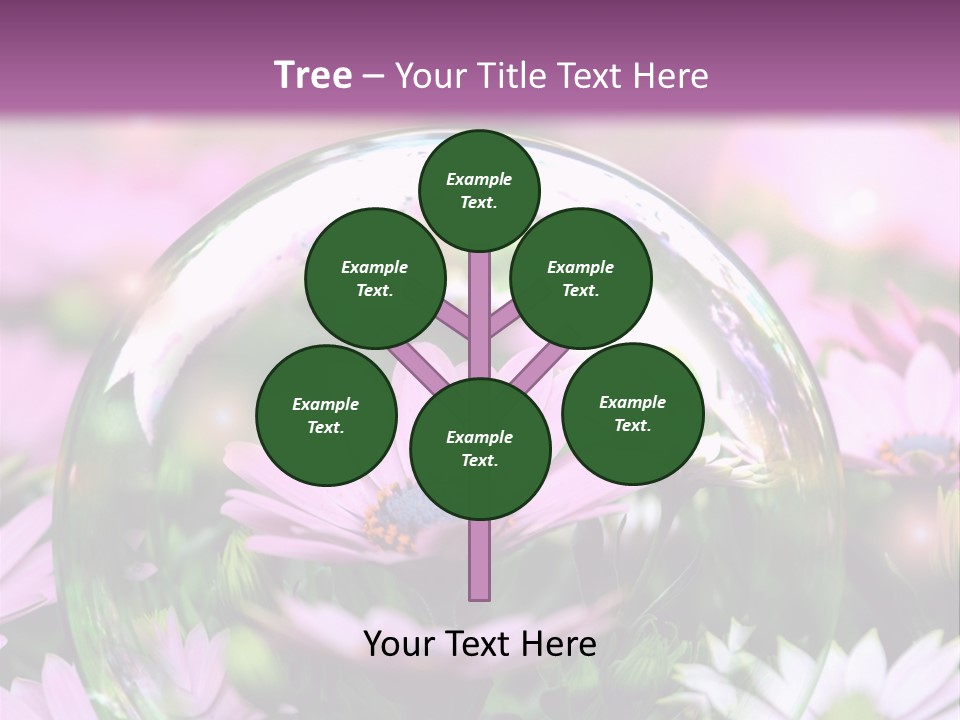 Sommer Traum Polarstern PowerPoint Template