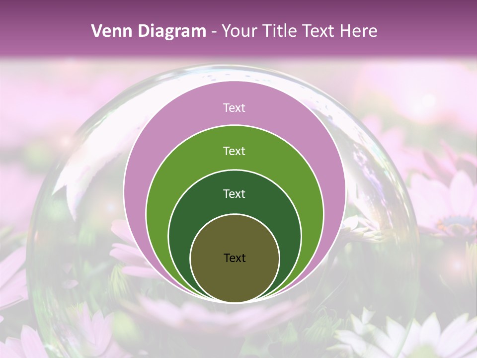 Sommer Traum Polarstern PowerPoint Template