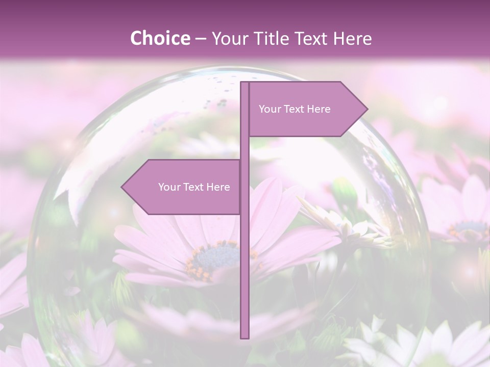 Sommer Traum Polarstern PowerPoint Template