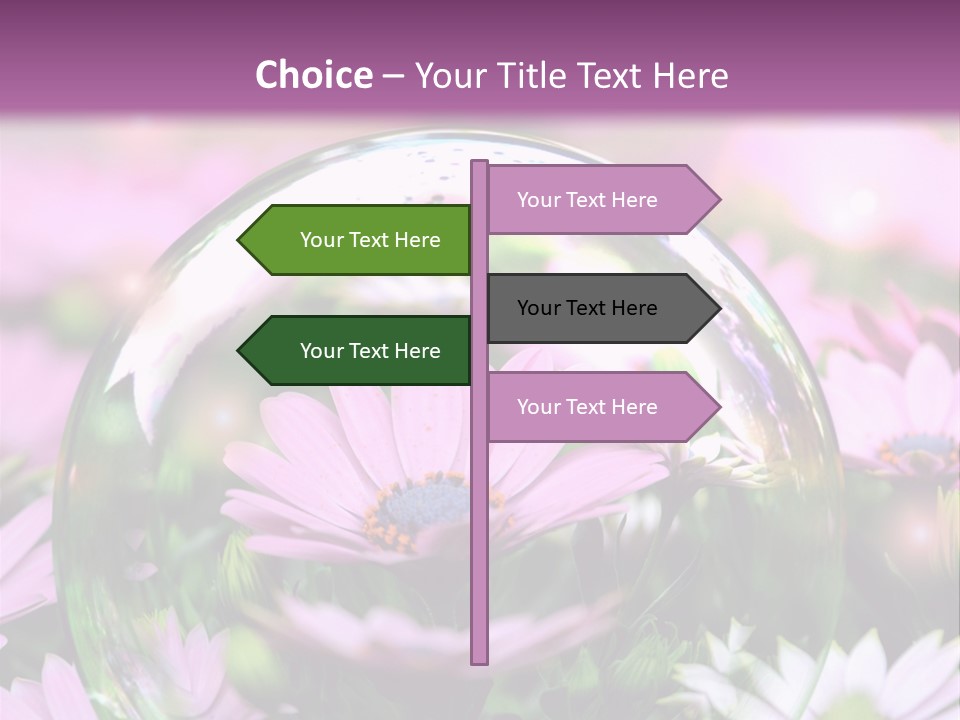 Sommer Traum Polarstern PowerPoint Template