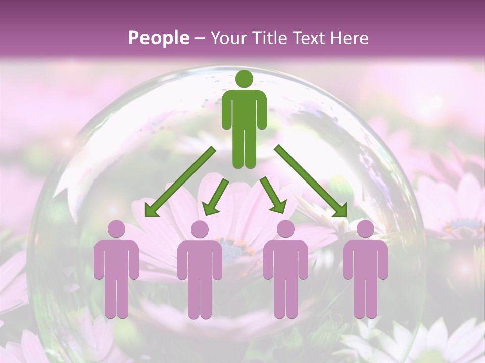 Sommer Traum Polarstern PowerPoint Template