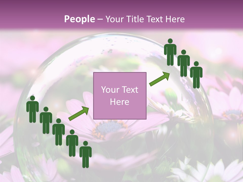 Sommer Traum Polarstern PowerPoint Template