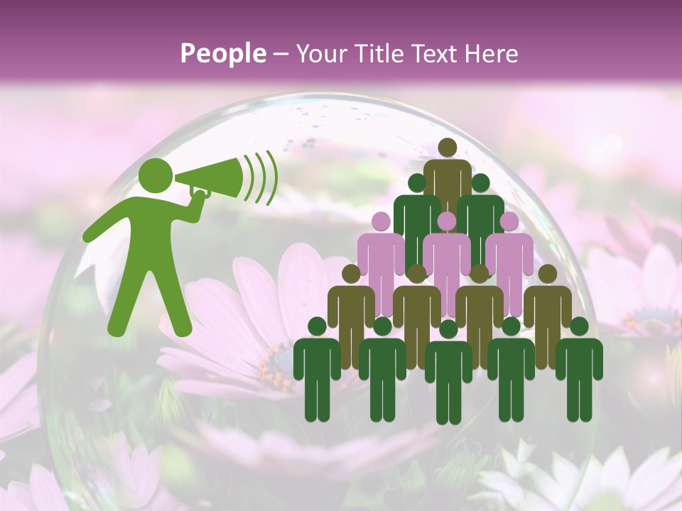 Sommer Traum Polarstern PowerPoint Template