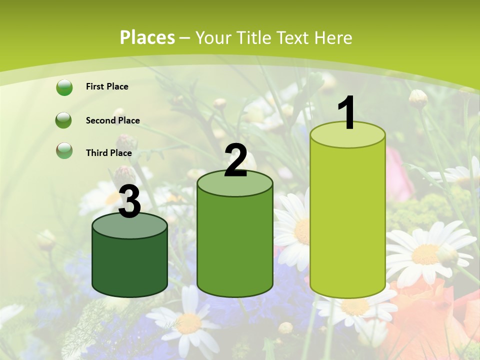 Energie Hom Gesundheit PowerPoint Template