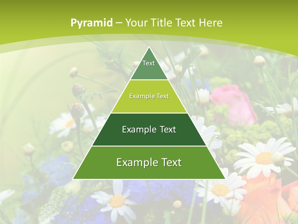 Energie Hom Gesundheit PowerPoint Template