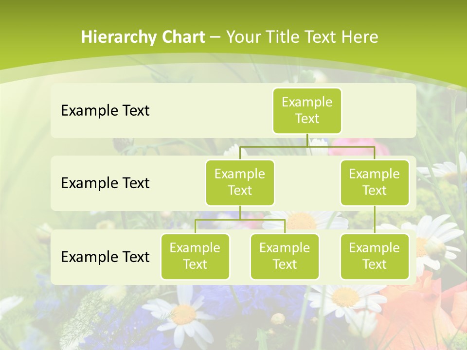 Energie Hom Gesundheit PowerPoint Template