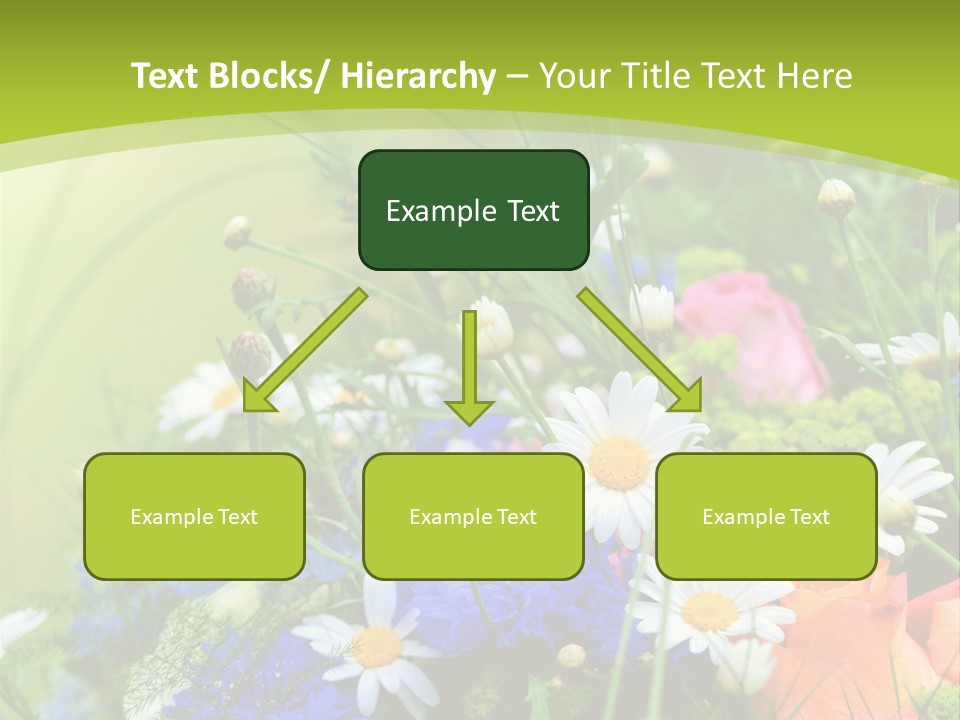 Energie Hom Gesundheit PowerPoint Template