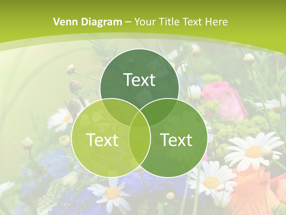 Energie Hom Gesundheit PowerPoint Template