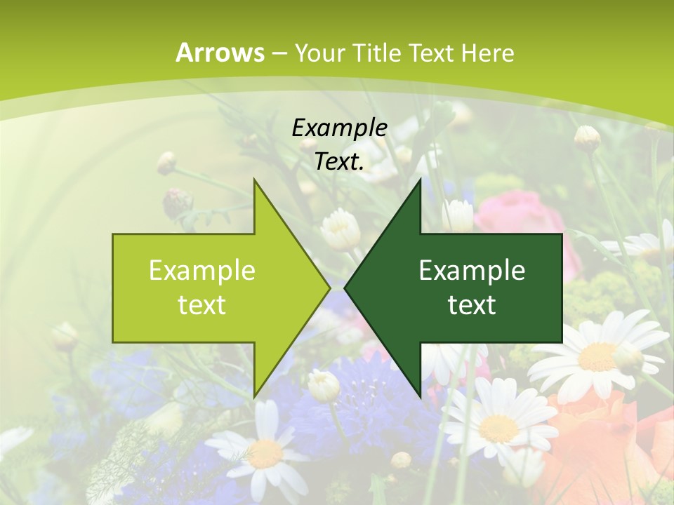 Energie Hom Gesundheit PowerPoint Template