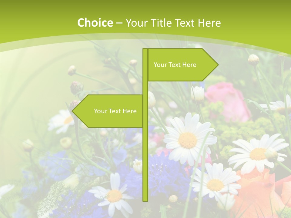 Energie Hom Gesundheit PowerPoint Template
