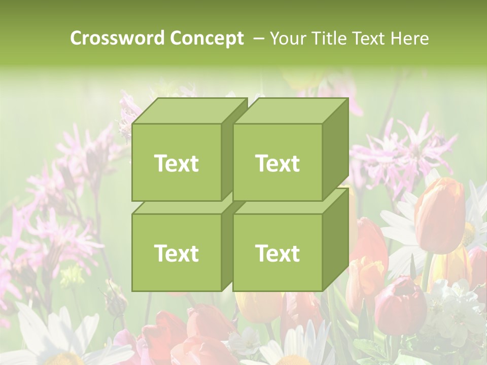 Wiese Blumen Vogelnest PowerPoint Template