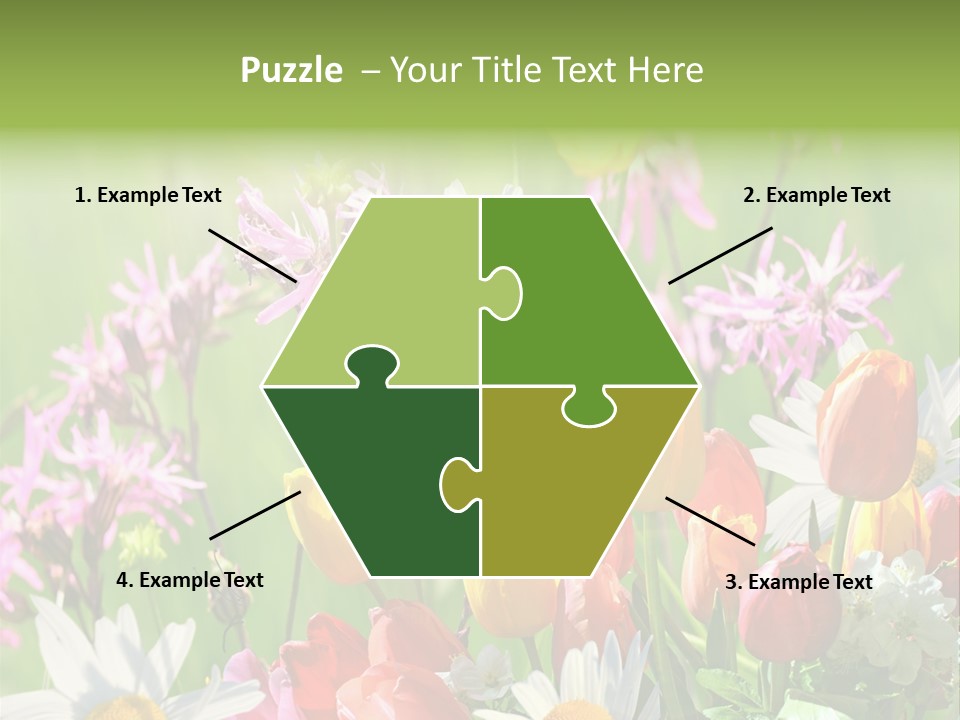 Wiese Blumen Vogelnest PowerPoint Template