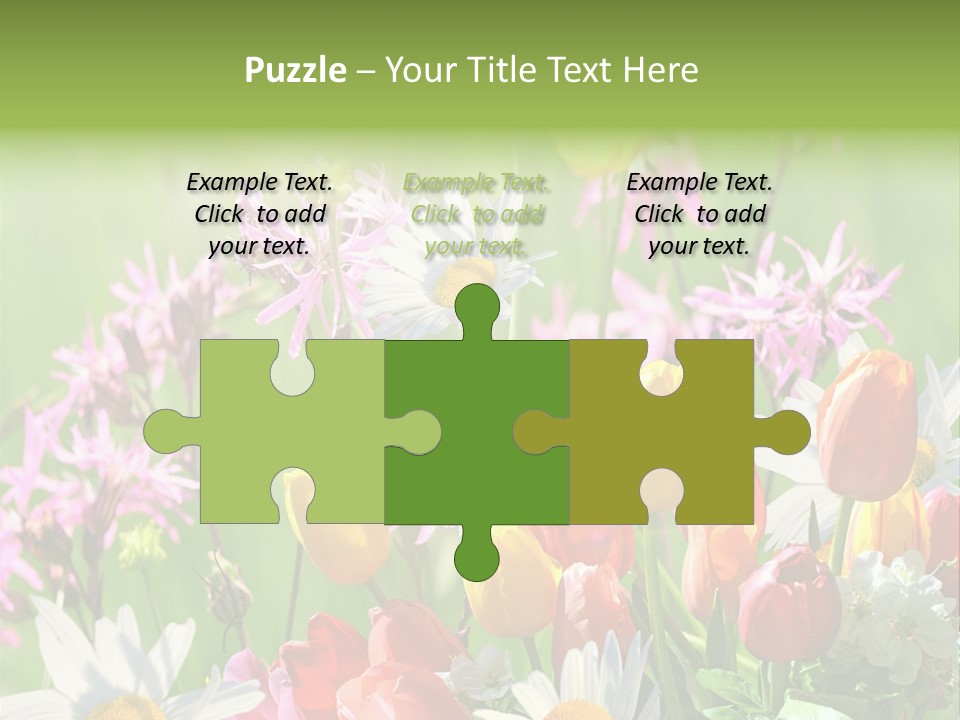 Wiese Blumen Vogelnest PowerPoint Template