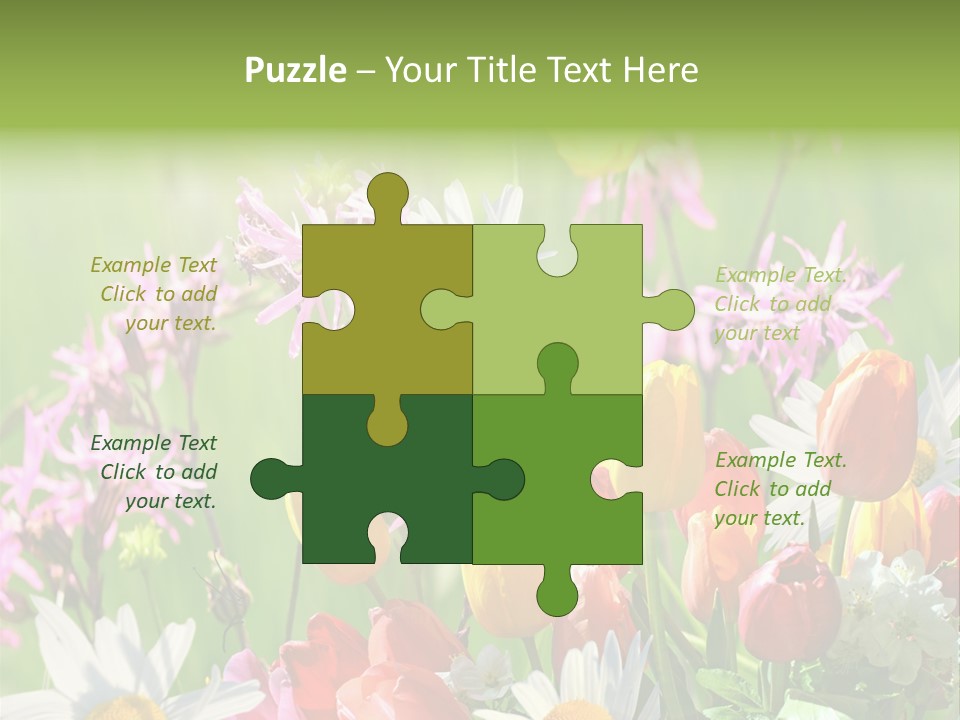 Wiese Blumen Vogelnest PowerPoint Template