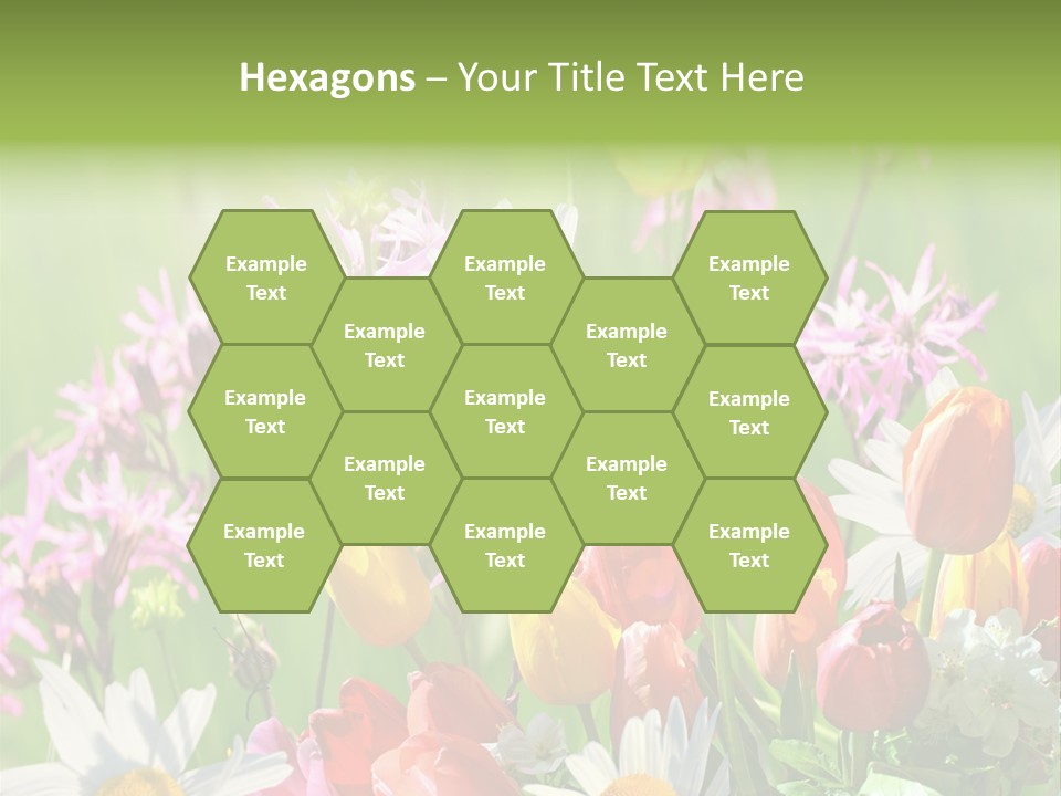 Wiese Blumen Vogelnest PowerPoint Template