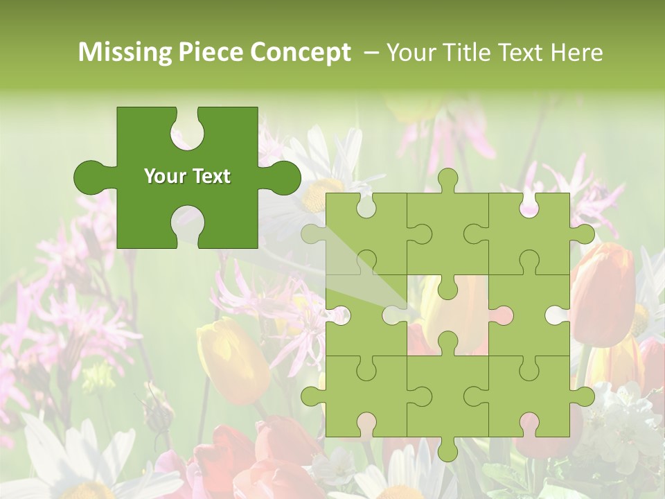 Wiese Blumen Vogelnest PowerPoint Template